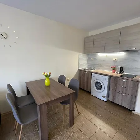 Apartmanhotel Rich-3 Sp 3*